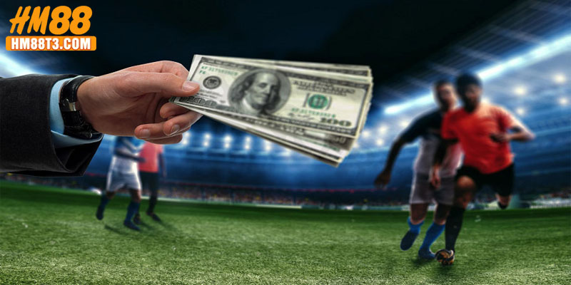 Mỗi đội so tài đều được hiển thị thông tin cụ thể để thành viên tham khảo