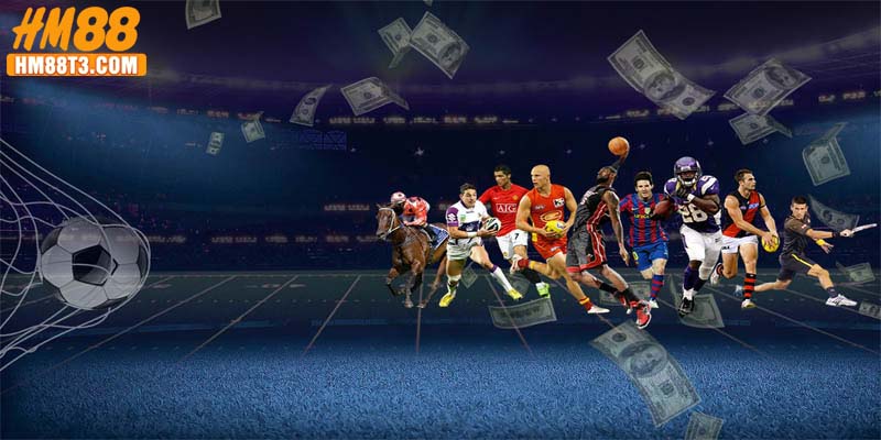 Tìm hiểu sơ lược về thể thao giải trí