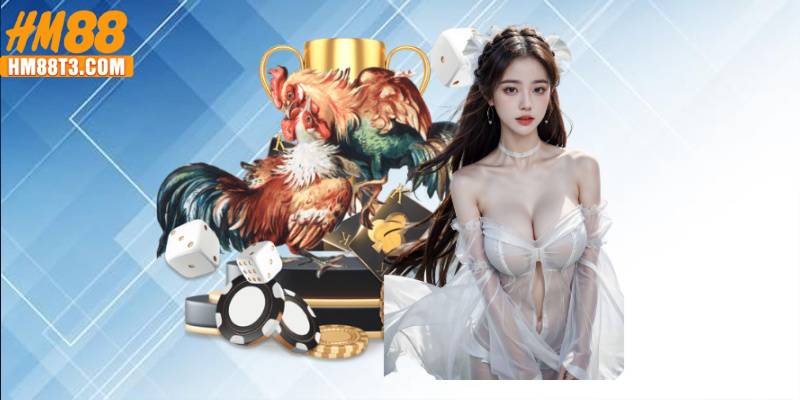 Giới thiệu sơ lược về kèo cược đá gà