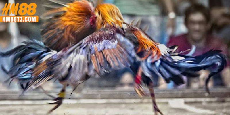 Kinh nghiệm đặt kèo hiệu quả