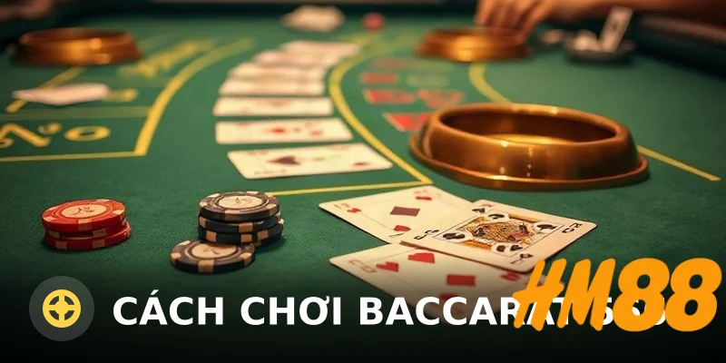 Cách chơi baccarat 566: Hướng dẫn chi tiết từ A-Z cho người mới