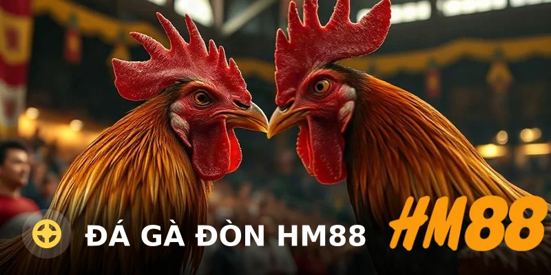 Đá Gà Đòn HM88: Kinh Nghiệm Thực Chiến Và Đánh Giá 2025